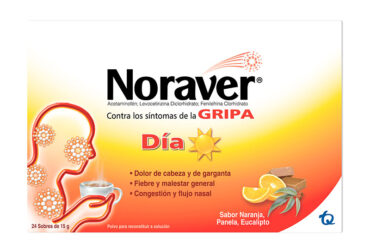 NORAVER GRIPA BEBIDA DIA 15 GR 24 SBS