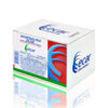 ADRENALINA 1 ML 25 AMPOLLAS EC