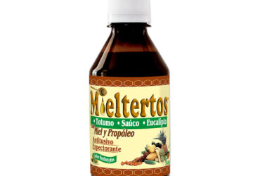 MIELTERTOS JARABE 240 ML NF