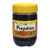 Propoleo Adultos Natural Evolution 350Gr