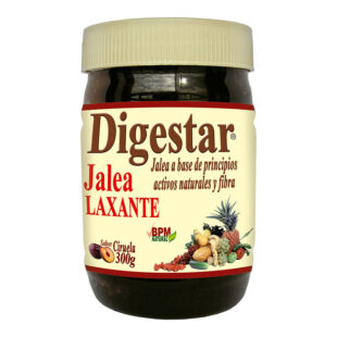 Digestar Jalea 300 Gr